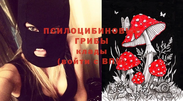 a pvp Армянск
