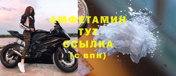 твердый Арсеньев